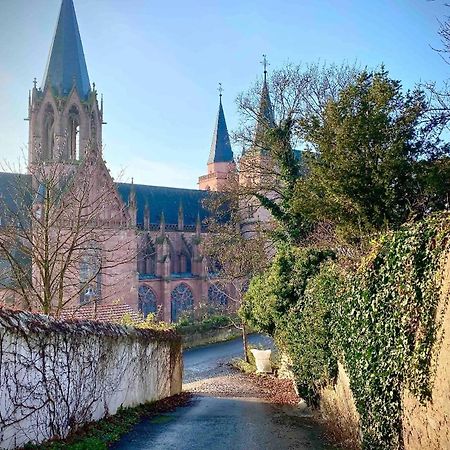 Schoenster Blick Auf Oppenheim! Esterno foto